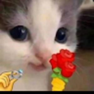 Meet your Posher, Maribel